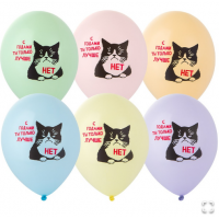 B Шар с рисунком 14" Кот сердитый 2цв